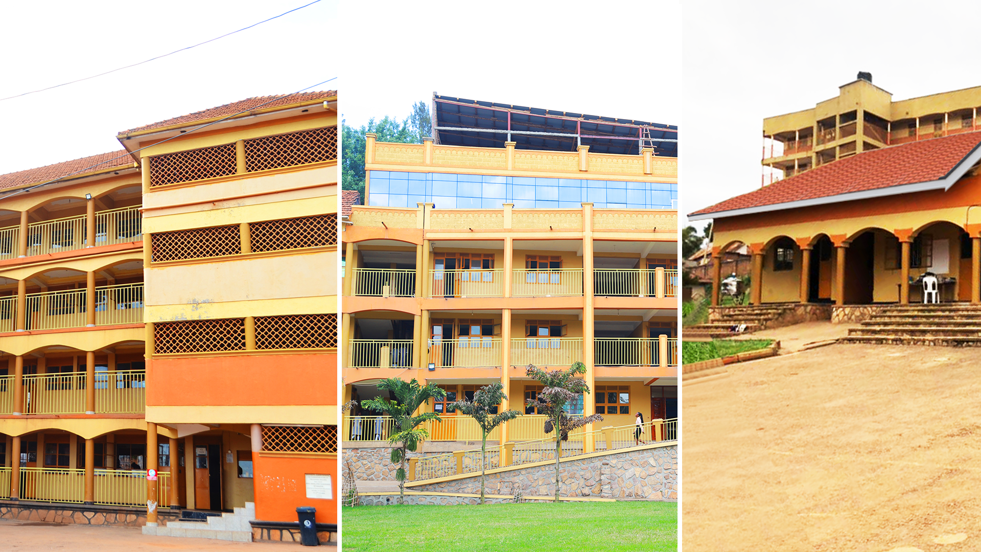 Education Illustration